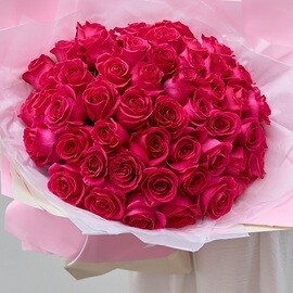 51 Ecuadorian Pink Roses 60 cm