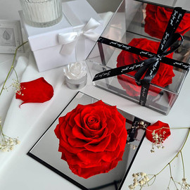 Eternal rose in an acrylic box