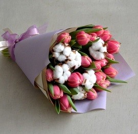 Tulips And Cotton