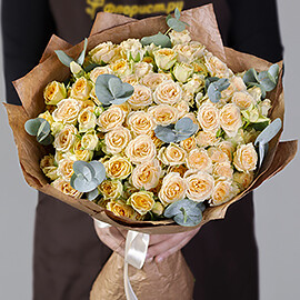 25 Cream Shrub Roses