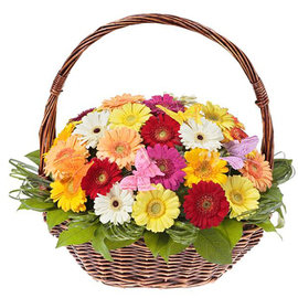 35 Colorful Gerberas in a Basket