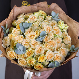 15 Cream Bush Roses 60 cm