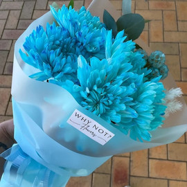 Blue Chrysanthemes Lovers