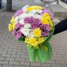 Bright Chrysanthemums