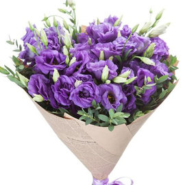 25 Purple Lysianthus