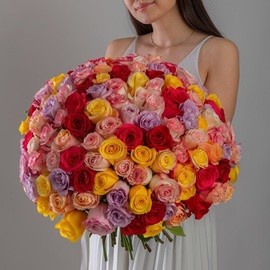 151 Multicolored Rose