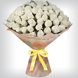 51 and 101 White Ecuadorian Rose