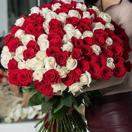 Bouquet of 101 red and white roses