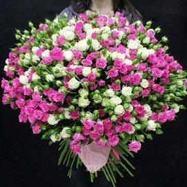 101 Спрей Роза