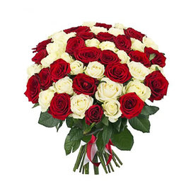White and Red Rose