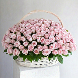 Basket 251 Soft Pink Rose