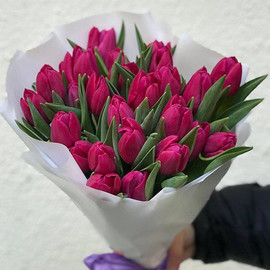 29 Tulips