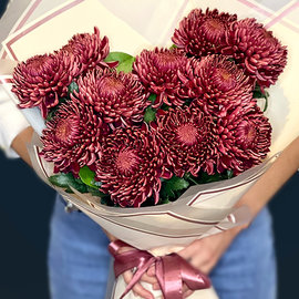 Bordeaux Chrysanthemums