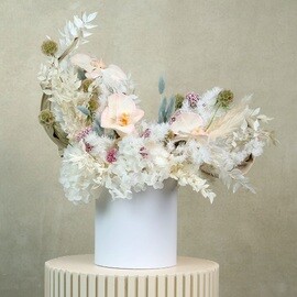 Ясный Полумесяц