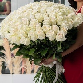 Bouquet of 101 white roses.