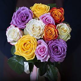 11 Эквадорских Роз Микс 50 см