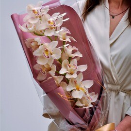 White Orchid Sprig