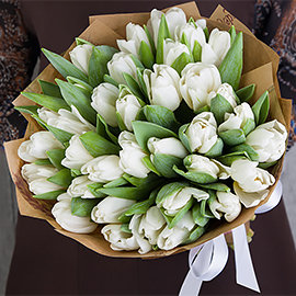 white tulips