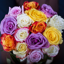 15 Roses 60 cm Ecuadorian Mix