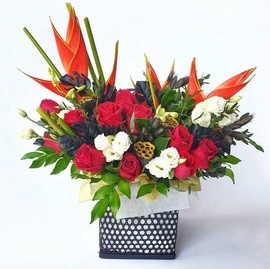 Прекрасные Бермуды