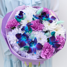 Lilac Cloud