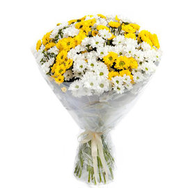 11 White and Yellow Chrysanthemums