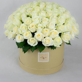 101 White Roses in a Box