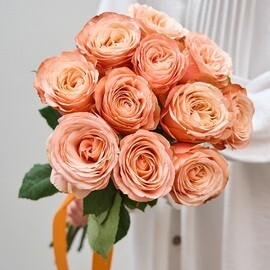 11 Французских Роз Кахала