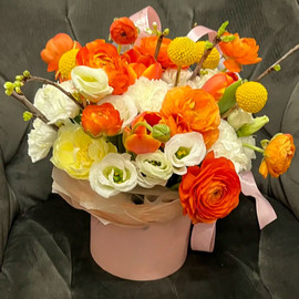 Солнечный луч