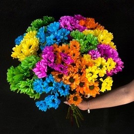 Шквал Радуги