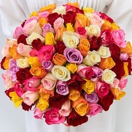 101 Multicolored Kenyan Rose