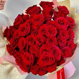 51 Роза 70 см Эквадорская Красная