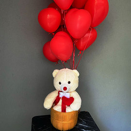 Teddy Bear and Balloons