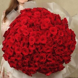 301 Red Rose