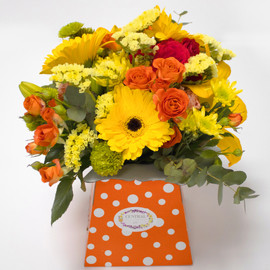 Весенняя Коробка