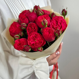 9  Роз 80 см Пионовидные Кустовые Красные