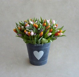 Ведро Тюльпанов
