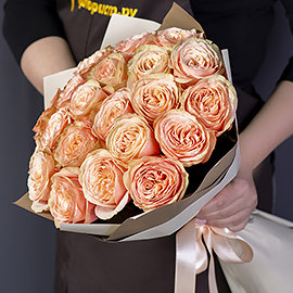 French Peach Roses