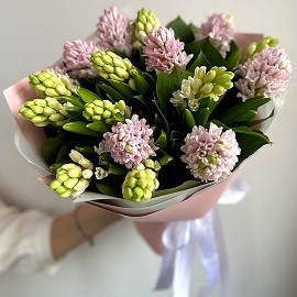 Bouquet of Hyacinths