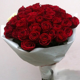 51 Red Roses