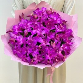 Pink Butterfly Orchids