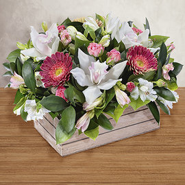 Доставка цветов и букетов флорист ру букет с орхидеями и розами