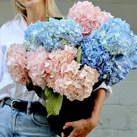 Pink and Blue Hydrangea Bouquet