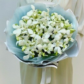 White Butterfly Orchids