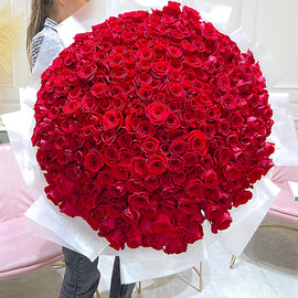 301 Красная Роза