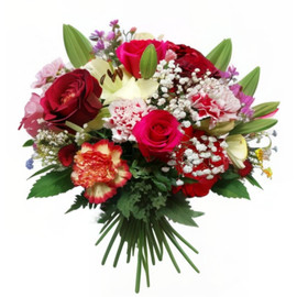 Изящная Дама