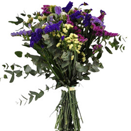 Вечная Жизнь