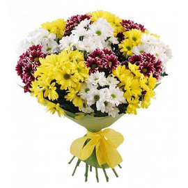 Микс из 13 Хризантем