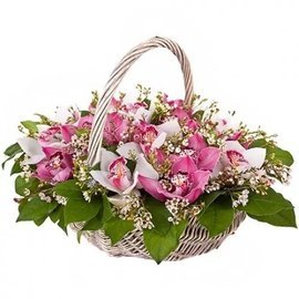 Basket of Orchids