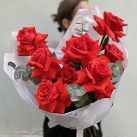 Прекрасные Красные Розы